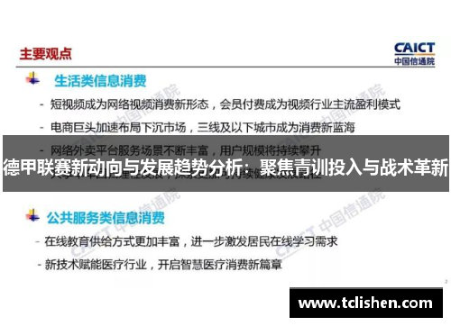 德甲联赛新动向与发展趋势分析：聚焦青训投入与战术革新