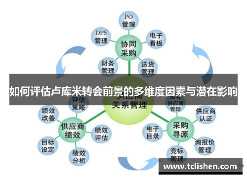 如何评估卢库米转会前景的多维度因素与潜在影响
