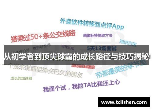 从初学者到顶尖球霸的成长路径与技巧揭秘