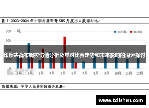 印澳决战布姆拉伤情分析及其对比赛走势和未来影响的深远探讨