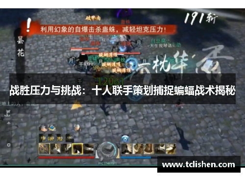 战胜压力与挑战：十人联手策划捕捉蝙蝠战术揭秘