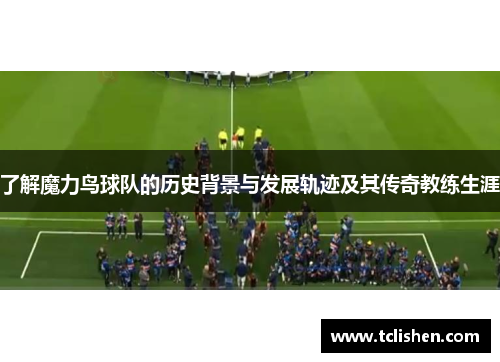 了解魔力鸟球队的历史背景与发展轨迹及其传奇教练生涯