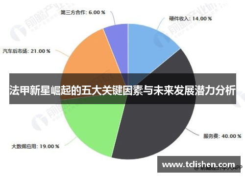 法甲新星崛起的五大关键因素与未来发展潜力分析
