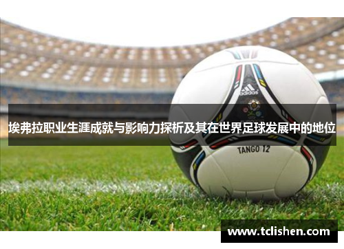 埃弗拉职业生涯成就与影响力探析及其在世界足球发展中的地位